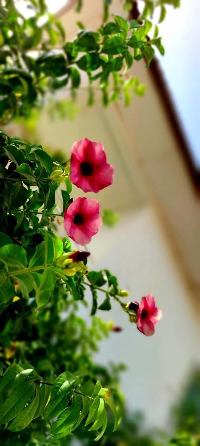 Dulaa Deema Residence Brufut Heights Tranquil 외부 사진